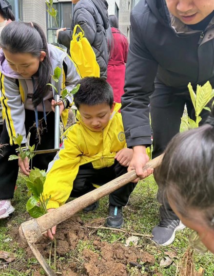江湾社区：植”和美家风 “树”清廉正气