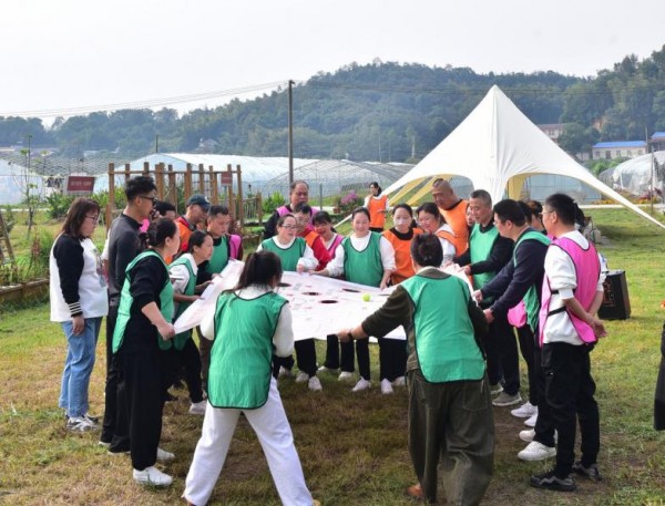 活力满格！江湾社区工会开展主题拓展活动激活职工“新动能”