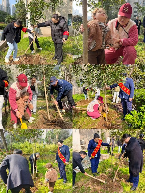 江湾社区联合物业举办“睦邻同植桂，侨心共此香”植树节活动